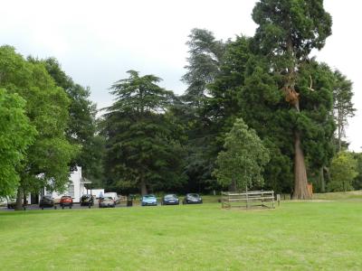 heart of england in bloom