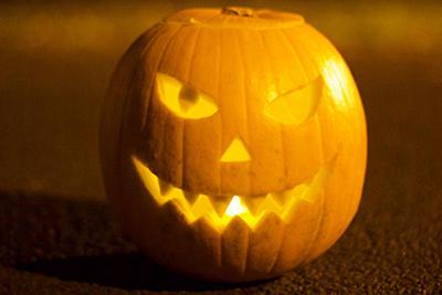 Pumpkin Tamworth Trail