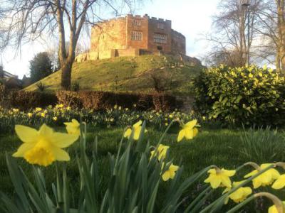 Castle Tamworth 