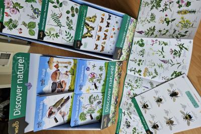 Alvecote wood open day 