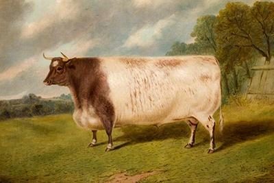 Championing Tamworth’s Rural History