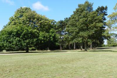 parks-tamworth-in bloom